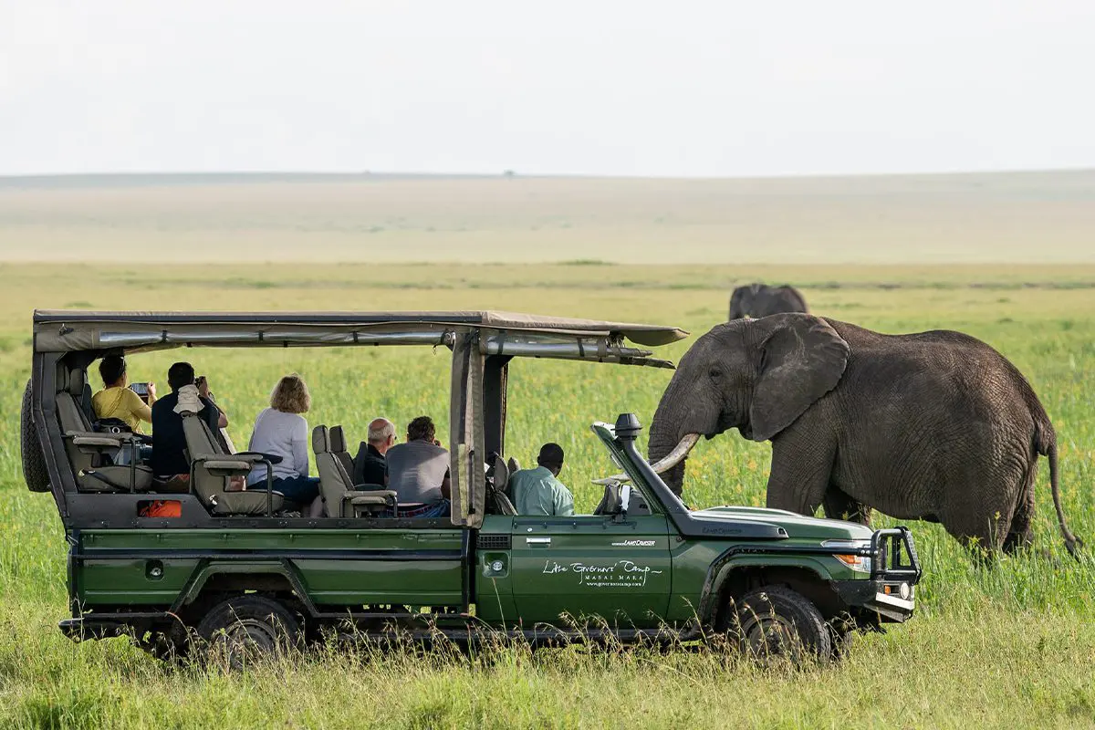 African Travel: Top Destinations for Relaxation