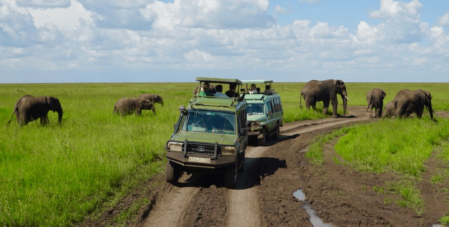 Exploring the Serengeti: Africa's Wild Heart