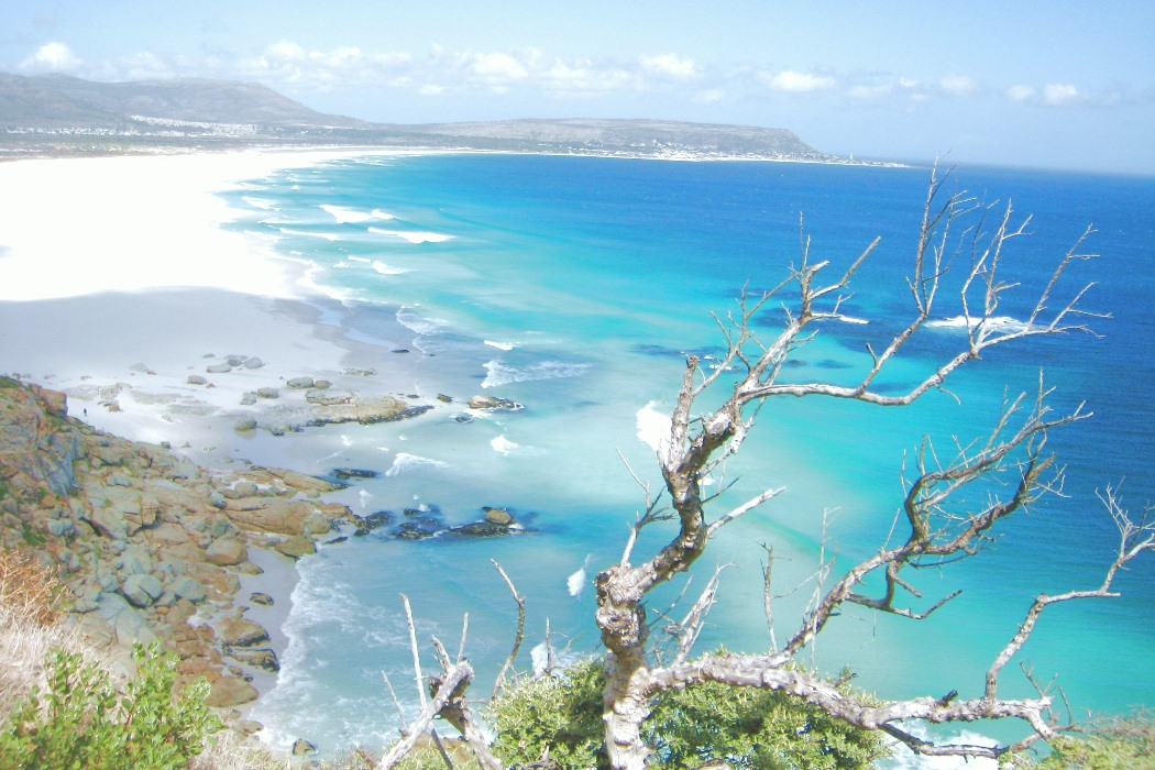 Cape Town's Coastal Wonders