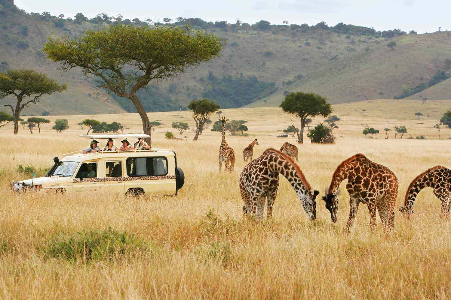 Safari Adventures in Kenya