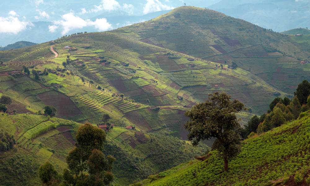 Rwanda: Land of a Thousand Hills